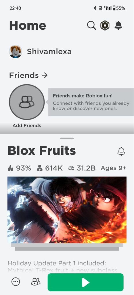 Blox Fruits game open
